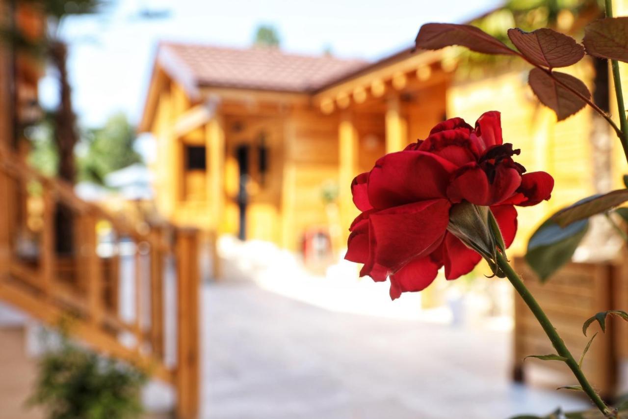 Bujtina Siar Hotel Pogradec Exterior photo